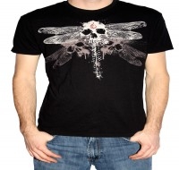 DragonFly Skull DragonFly Skull